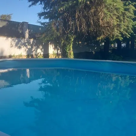 Il Nibbio Vecchiano